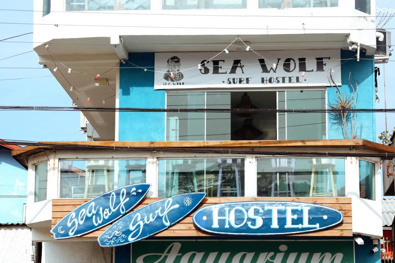 Sea Wolf Surf Hostel - Florianopolis, Florianopolis